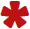 Required icon