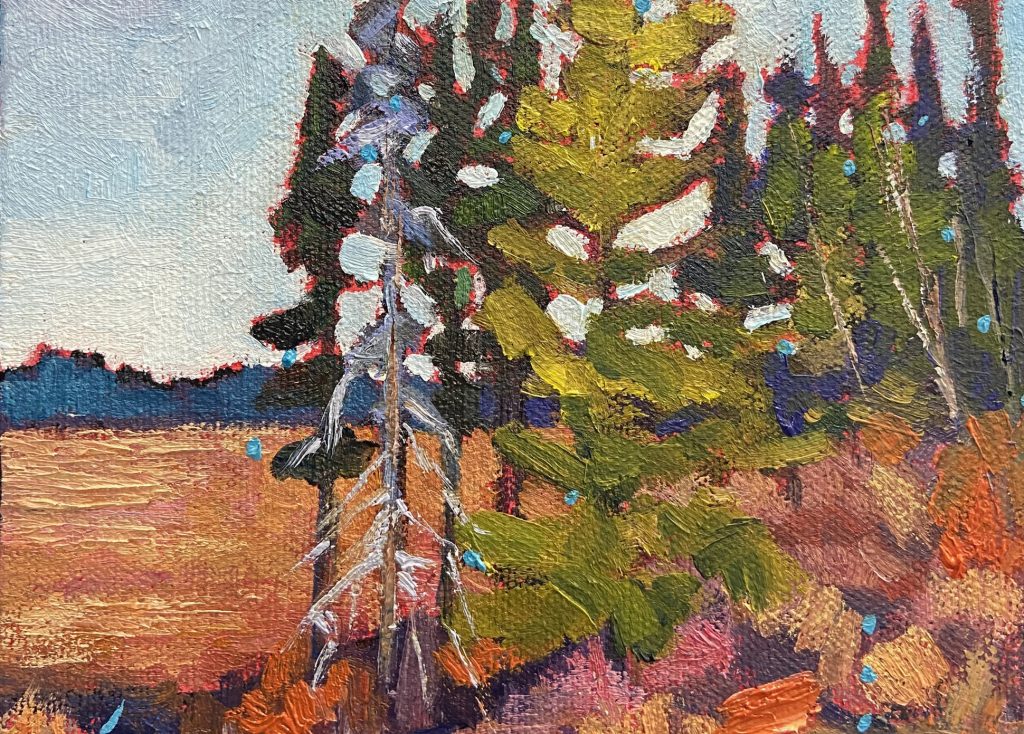 W2504C: Marissa Sweet - Expressive Landscape-Week 3