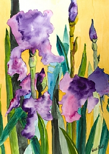 C2505C: Expressive Spring Flowers