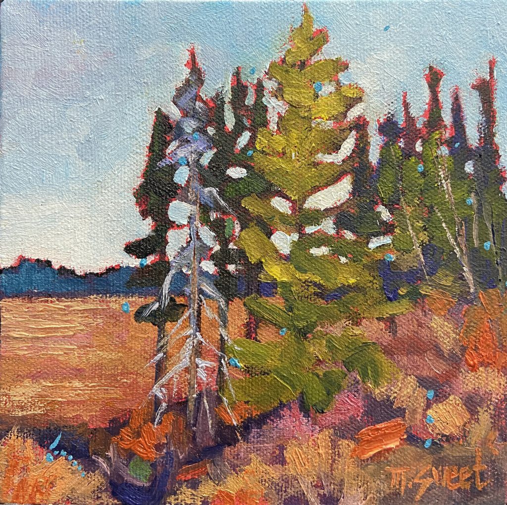 W2509A: Marissa Sweet - Expressive Landscape