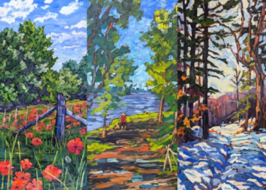 Cornucopia Of Colour by Jane Hall