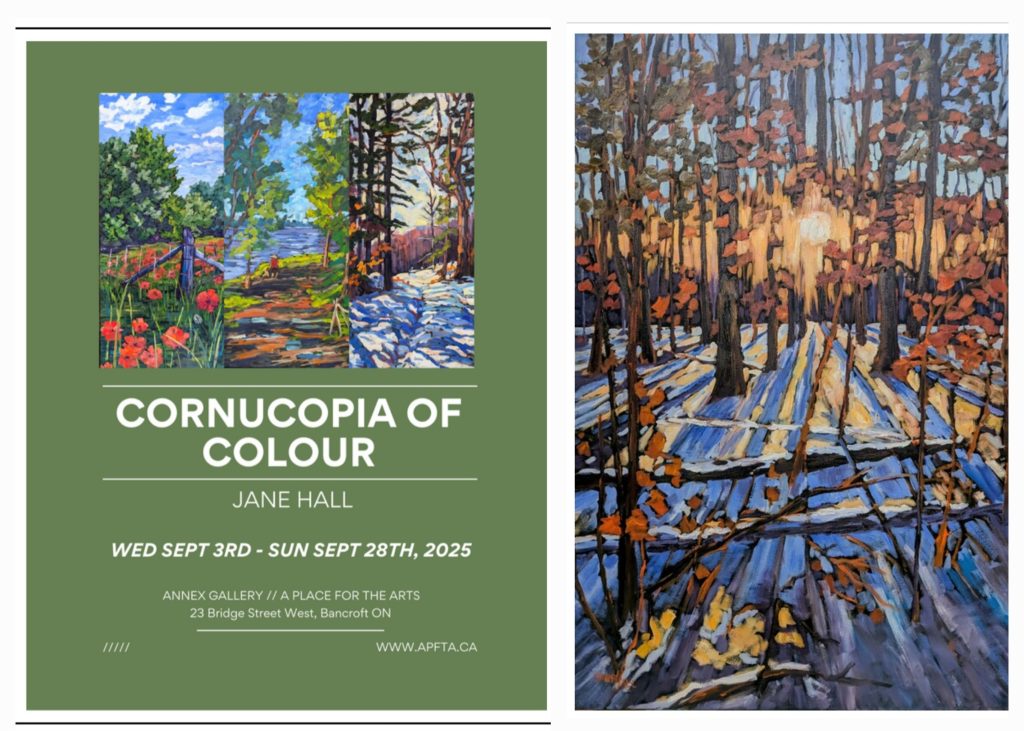 Cornucopia Of Colour by Jane Hall